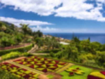 madeira