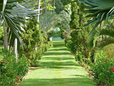 botanic gardens